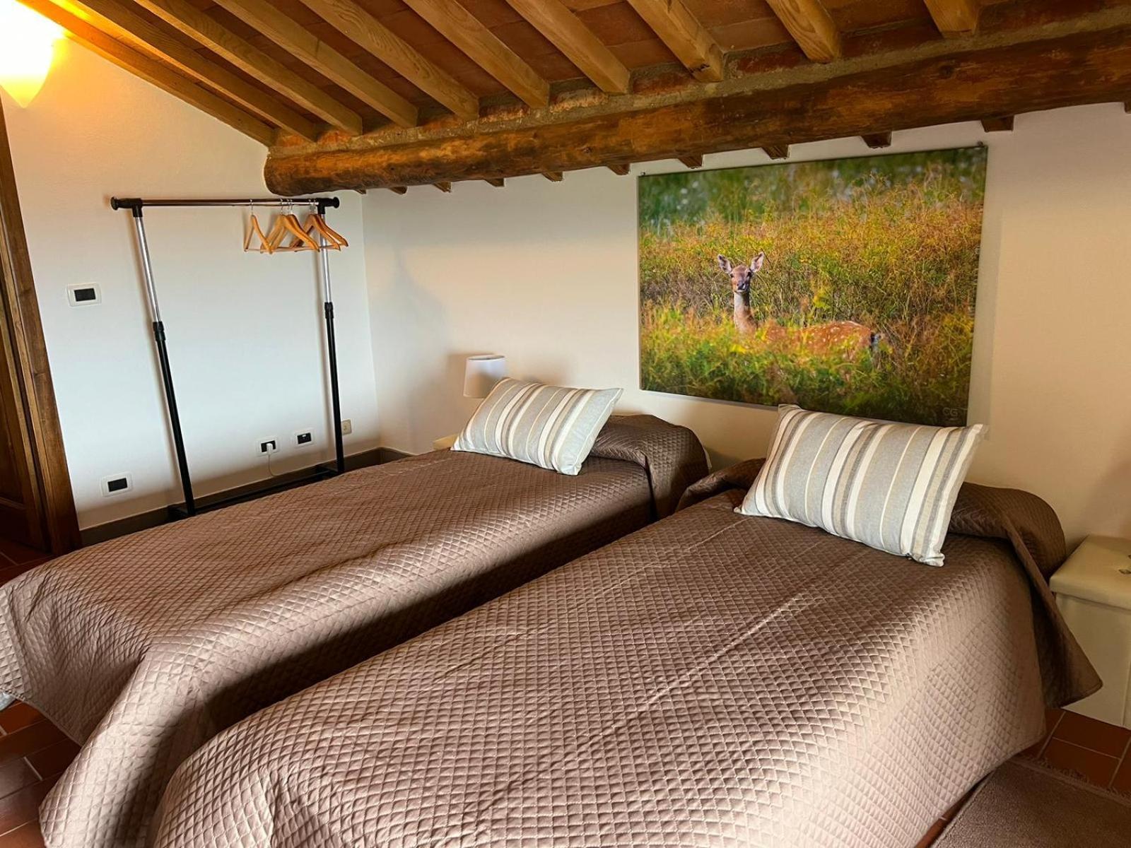 Casa Podere San Firenze San Firenze - Fonte Di Sala Exteriör bild